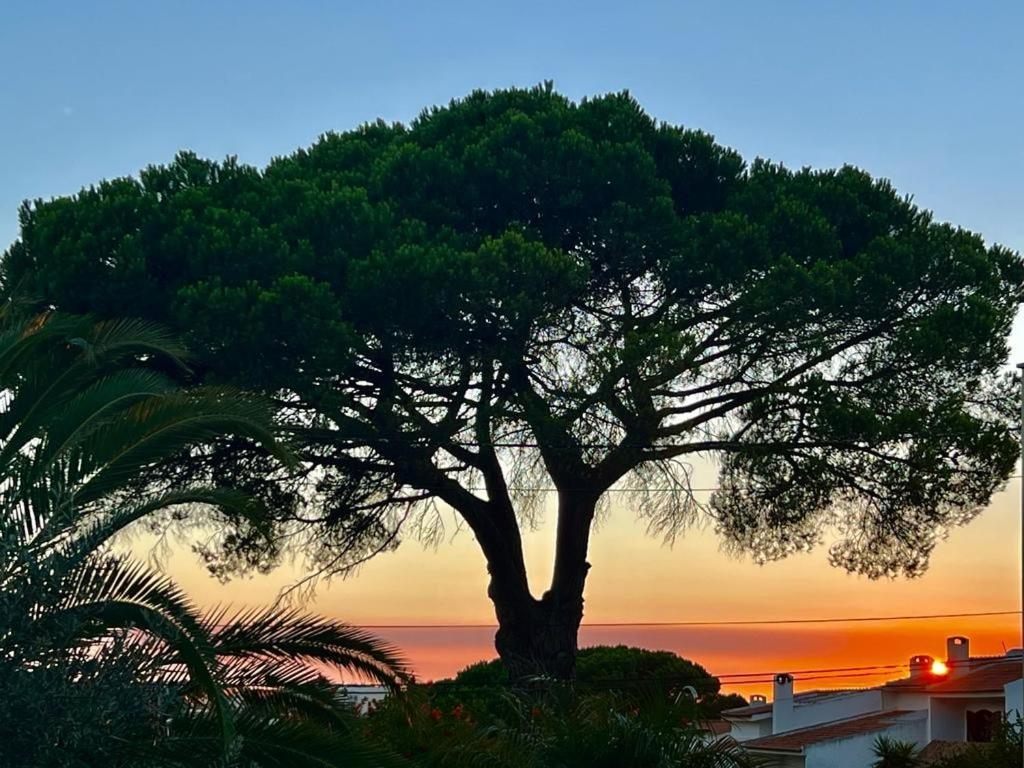 Vila De Sol Sesimbra Exterior photo